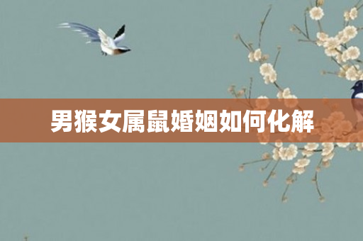 男猴女属鼠婚姻如何化解