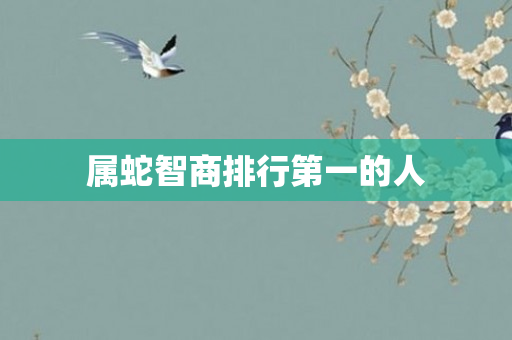 属蛇智商排行之一的人
