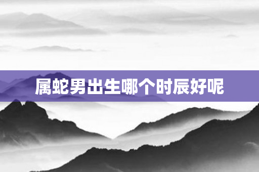 属蛇男出生哪个时辰好呢