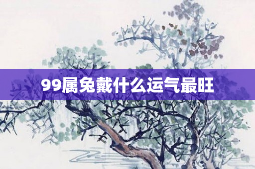 99属兔戴什么运气最旺