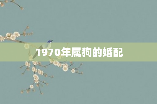 1970年属狗的婚配