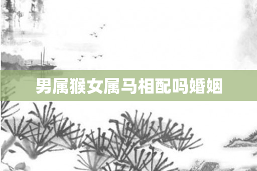 男属猴女属马相配吗婚姻