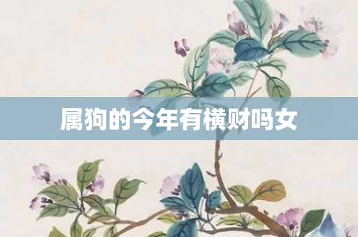 属狗的今年有横财吗女