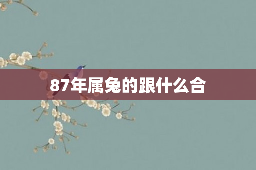 87年属兔的跟什么合