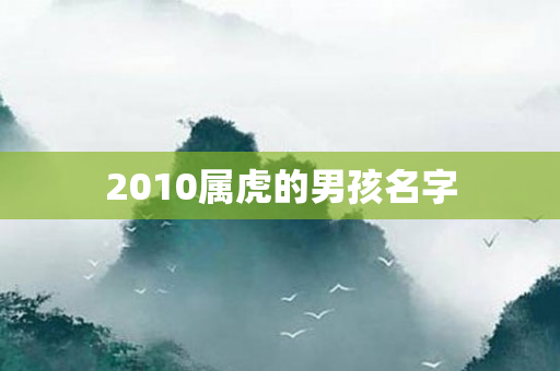 2010属虎的男孩名字