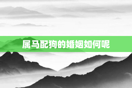 属马配狗的婚姻如何呢