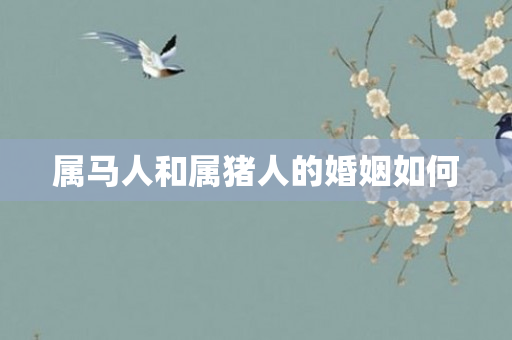 属马人和属猪人的婚姻如何