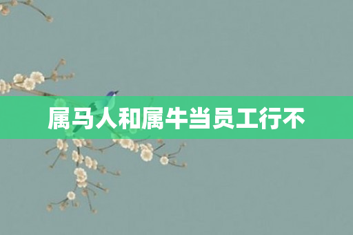 属马人和属牛当员工行不