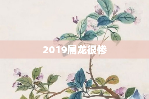 2019属龙很惨