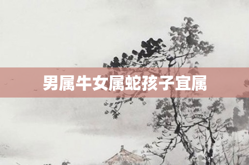 男属牛女属蛇孩子宜属