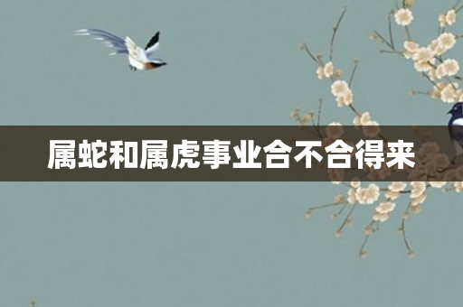属蛇和属虎事业合不合得来