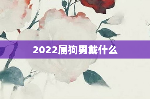 2022属狗男戴什么