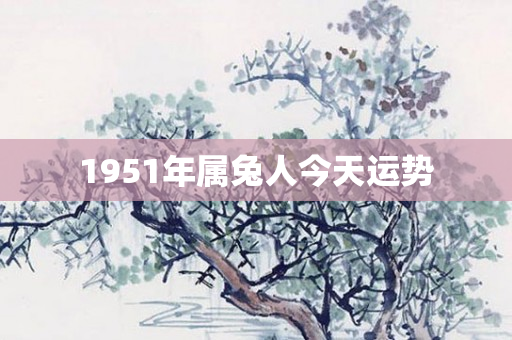 1951年属兔人今天运势