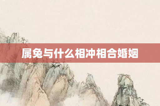 属兔与什么相冲相合婚姻