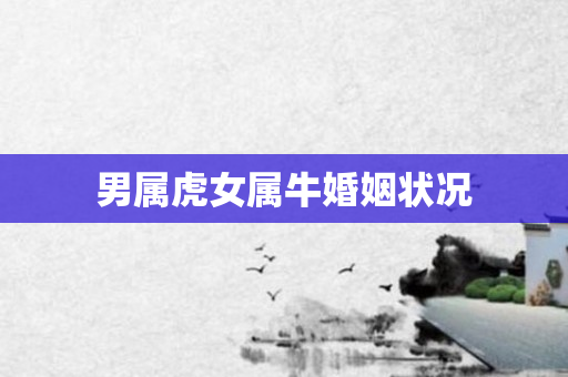 男属虎女属牛婚姻状况