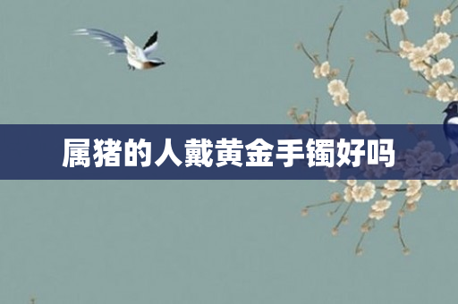 属猪的人戴黄金手镯好吗