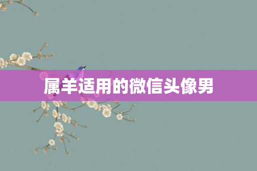属羊适用的微信头像男