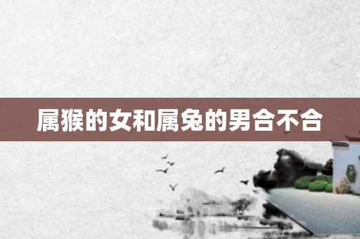 属猴的女和属兔的男合不合