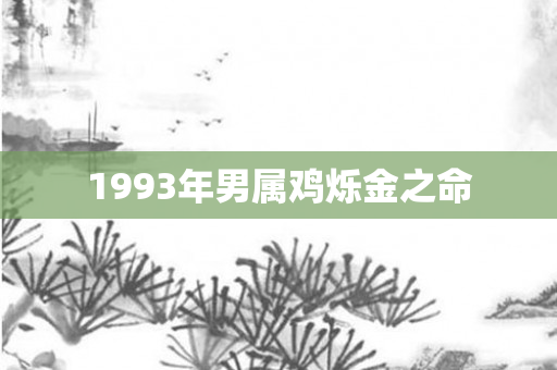 1993年男属鸡烁金之命