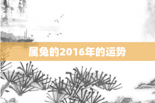 属兔的2016年的运势