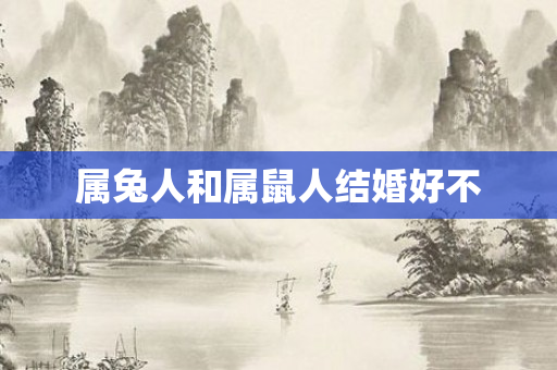 属兔人和属鼠人结婚好不