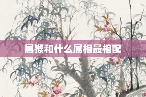 属猴和什么属相最相配