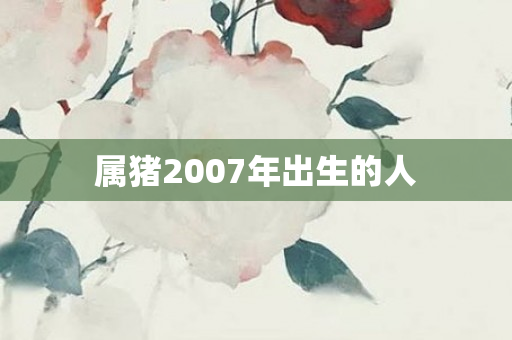 属猪2007年出生的人