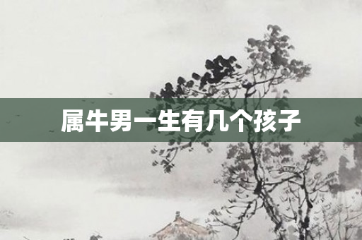属牛男一生有几个孩子