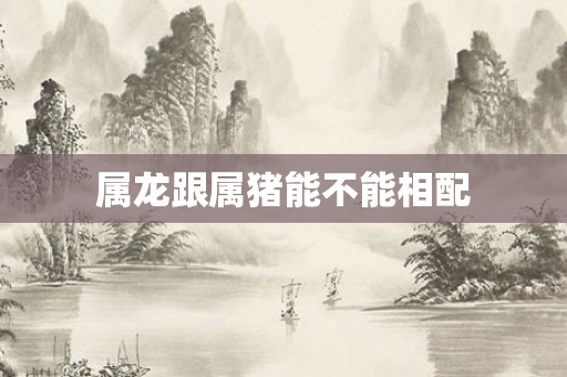 属龙跟属猪能不能相配