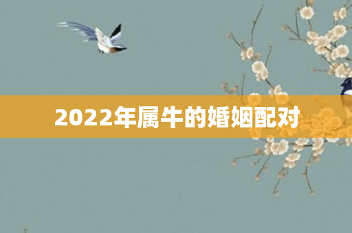 2022年属牛的婚姻配对