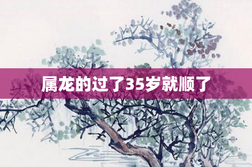 属龙的过了35岁就顺了