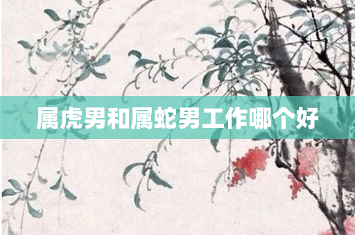 属虎男和属蛇男工作哪个好