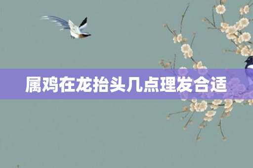 属鸡在龙抬头几点理发合适