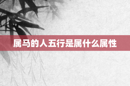 属马的人五行是属什么属性