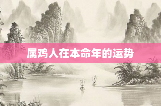 属鸡人在本命年的运势