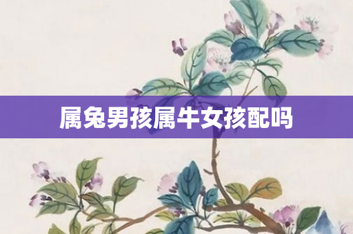 属兔男孩属牛女孩配吗