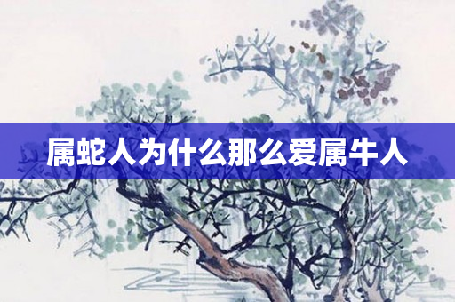 属蛇人为什么那么爱属牛人