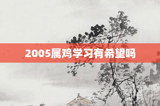 2005属鸡学习有希望吗