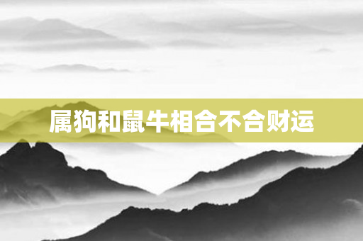 属狗和鼠牛相合不合财运