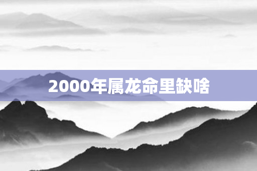 2000年属龙命里缺啥