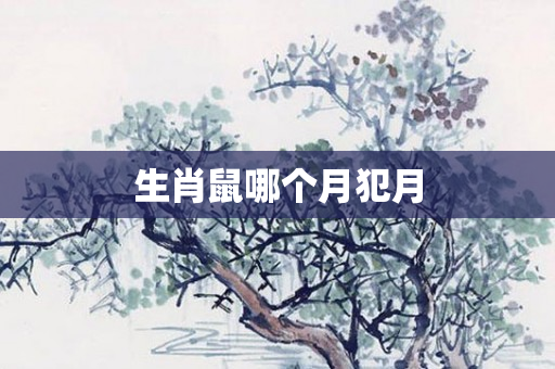 生肖鼠哪个月犯月