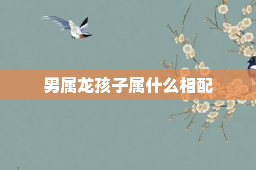男属龙孩子属什么相配