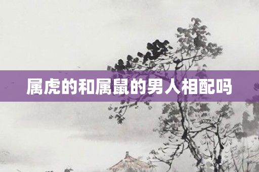属虎的和属鼠的男人相配吗