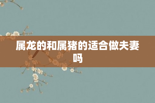 属龙的和属猪的适合做夫妻吗