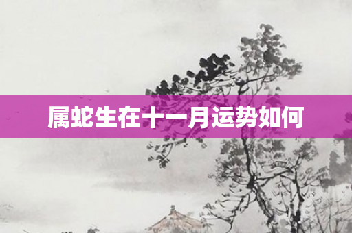 属蛇生在十一月运势如何
