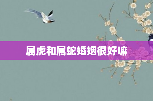 属虎和属蛇婚姻很好嘛