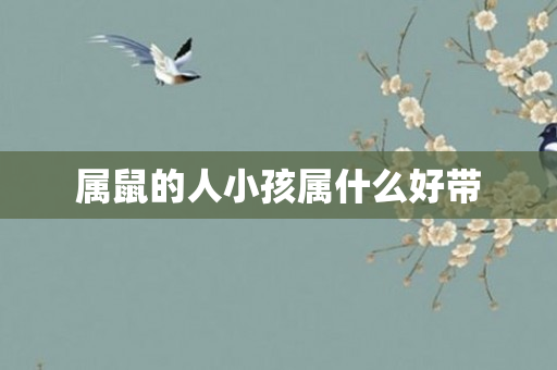属鼠的人小孩属什么好带