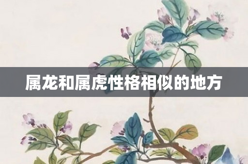 属龙和属虎性格相似的地方