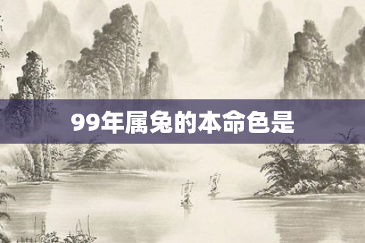 99年属兔的本命色是