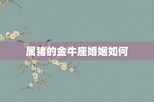 属猪的金牛座婚姻如何